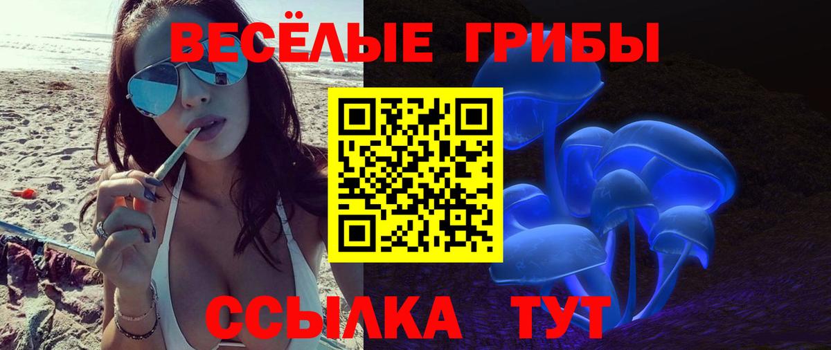 Псилоцибиновые грибы Magic Shrooms  Псилоцибиновые грибы Psilocybe  Волжск  Вход с VPN 
