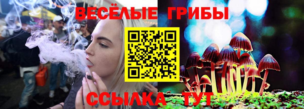 Псилоцибиновые грибы прущие грибы Волжск